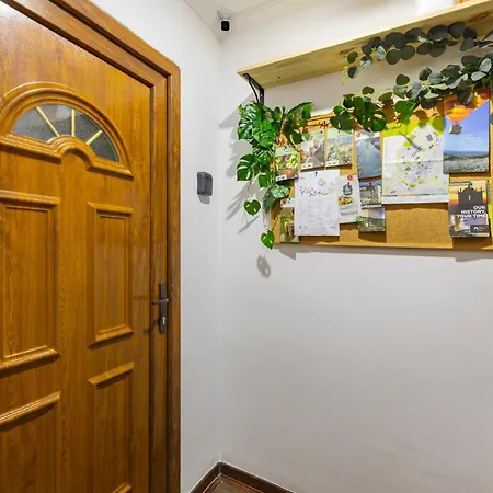 Remodeled Historical In The Center Apartment