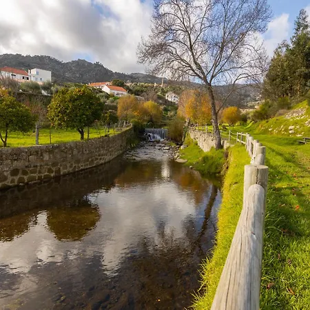 Remodeled Historical In The Center アパート *