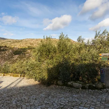 Remodeled Historical In The Center アパート Fundão