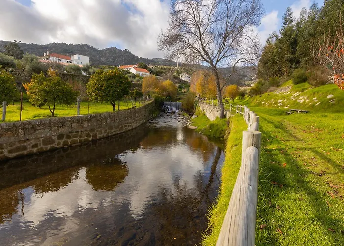 Remodeled Historical In The Center Apartment *