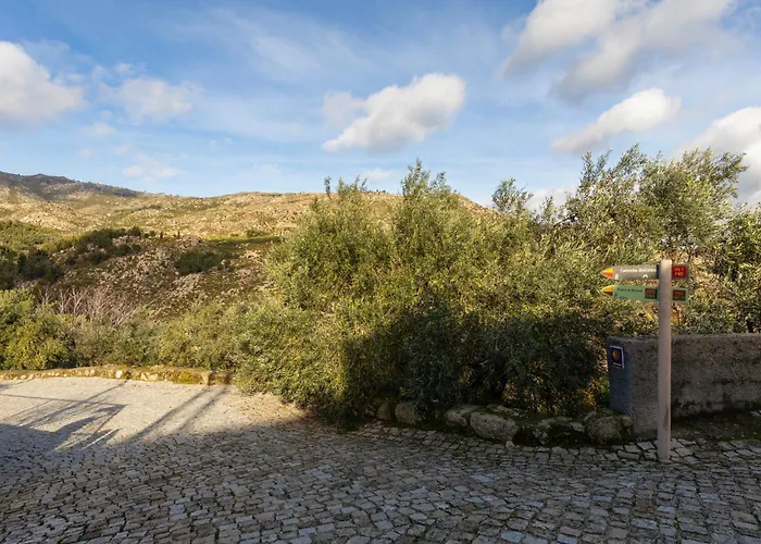 Remodeled Historical In The Center Apartment Fundao