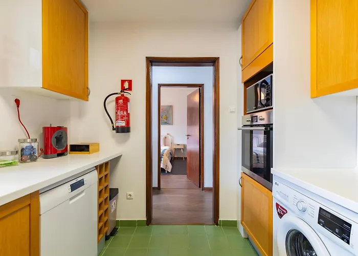 Apartment Remodeled Historical In The Center Fundao